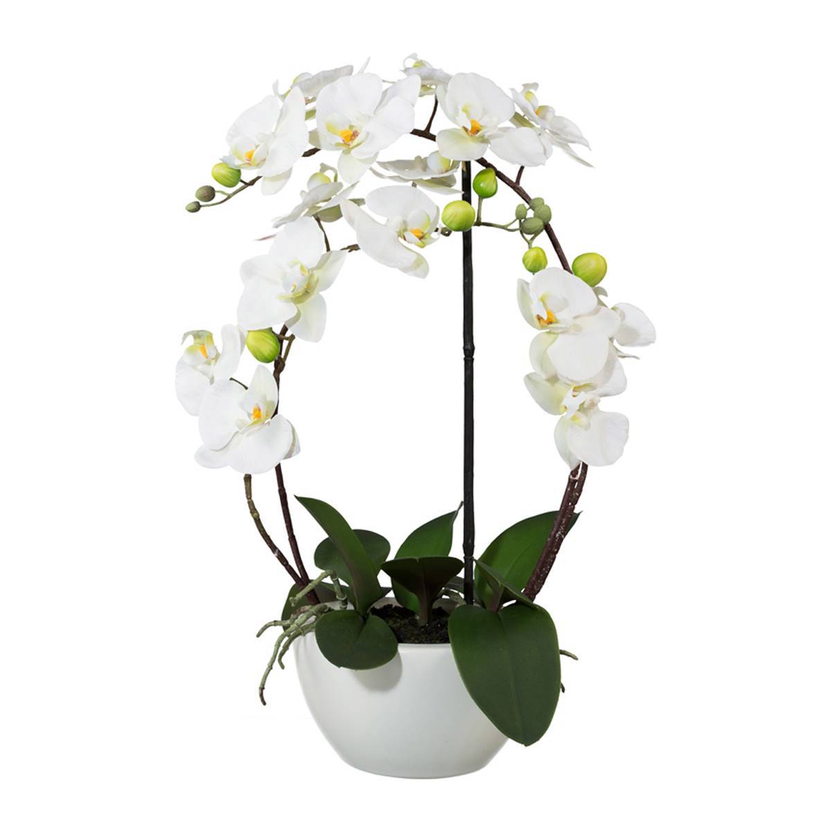 Artificielles - Orchidée factice 4 hampes en coupe céramique H60cm touché réel Crème - couleur: Crème - Imagen 1