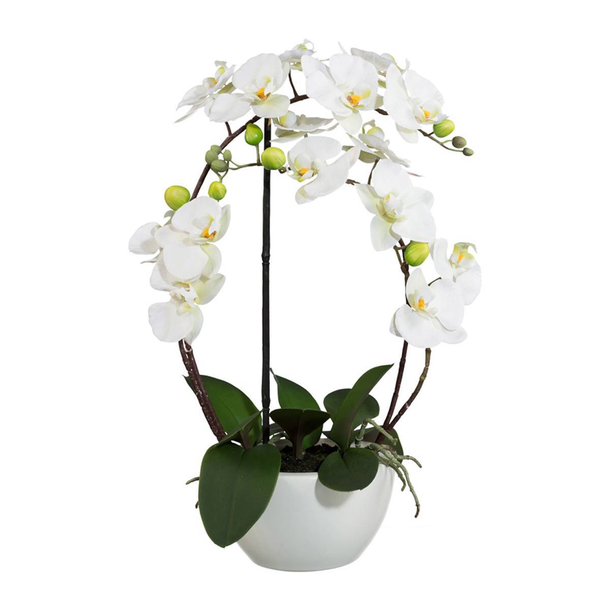 Artificielles - Orchidée factice 4 hampes en coupe céramique H60cm touché réel Crème - couleur: Crème - Imagen 2
