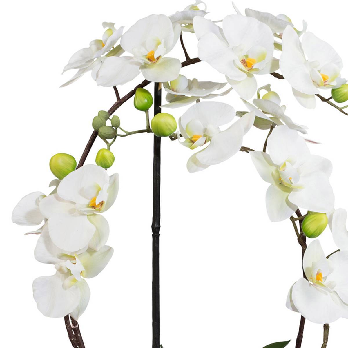 Artificielles - Orchidée factice 4 hampes en coupe céramique H60cm touché réel Crème - couleur: Crème - Imagen 3