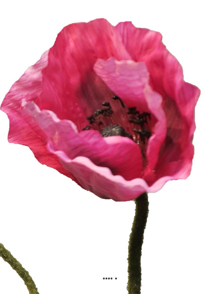 Artificielles - Pavot factice H60cm 1 fleur & 1 bouton jolie fleur Rose fushia - BEST - couleur: Rose fushia 730 - Imagen 3