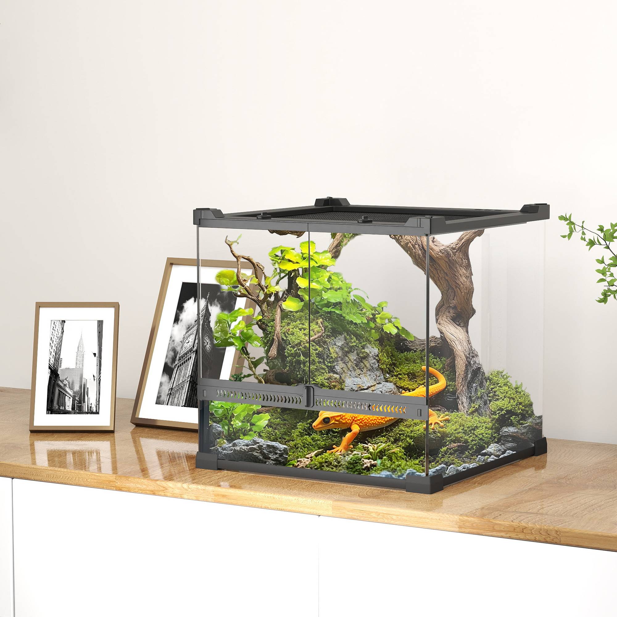 ComfortXL - Terrarium pour reptiles en verre trempé noir lézards serpents amphibiens fond étanche surélevé et ventilé