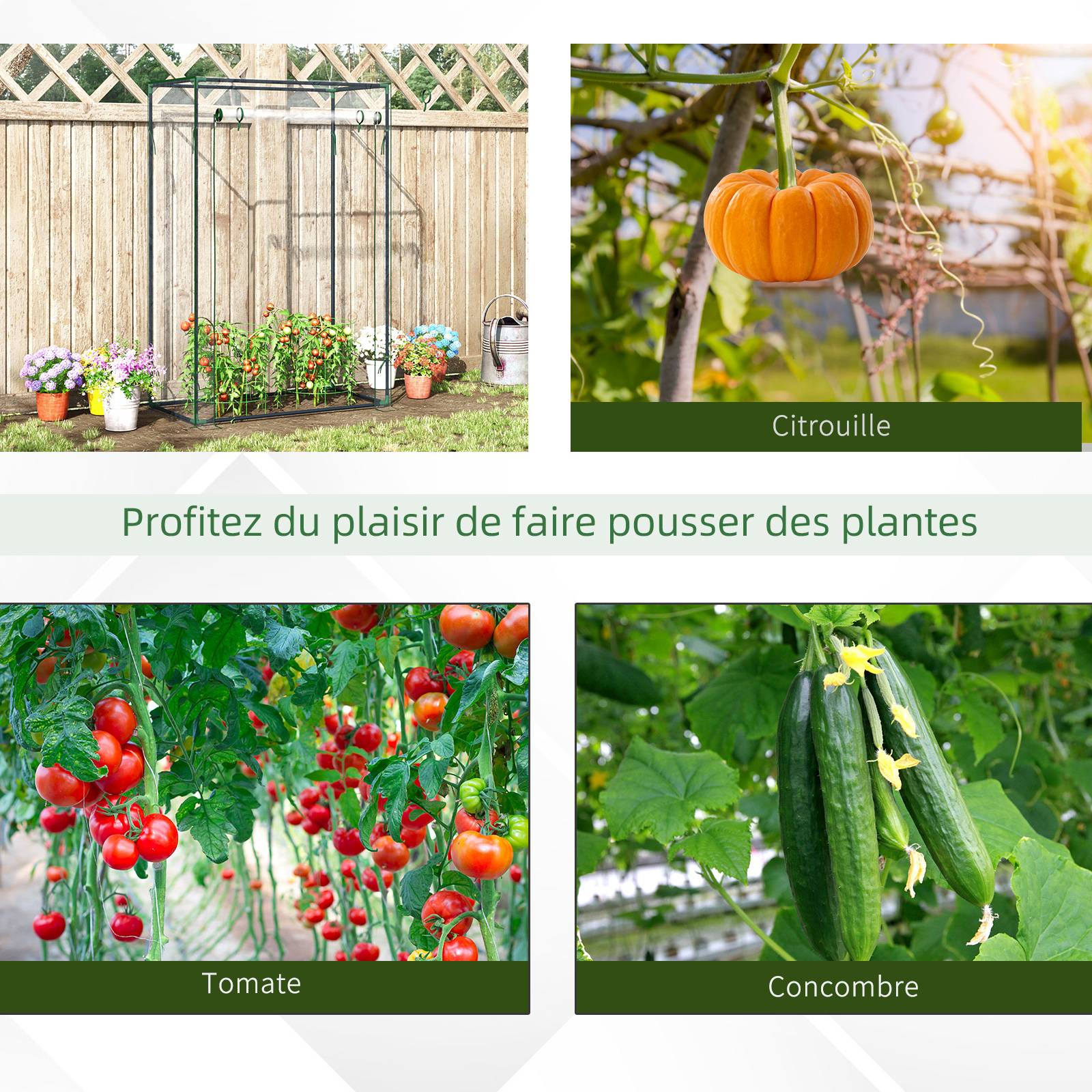Serre de jardin 100x50x150 cm avec bâche PVC renforcée, structure acier, porte zippée, pour légumes, fleurs et plantes - Image 8
