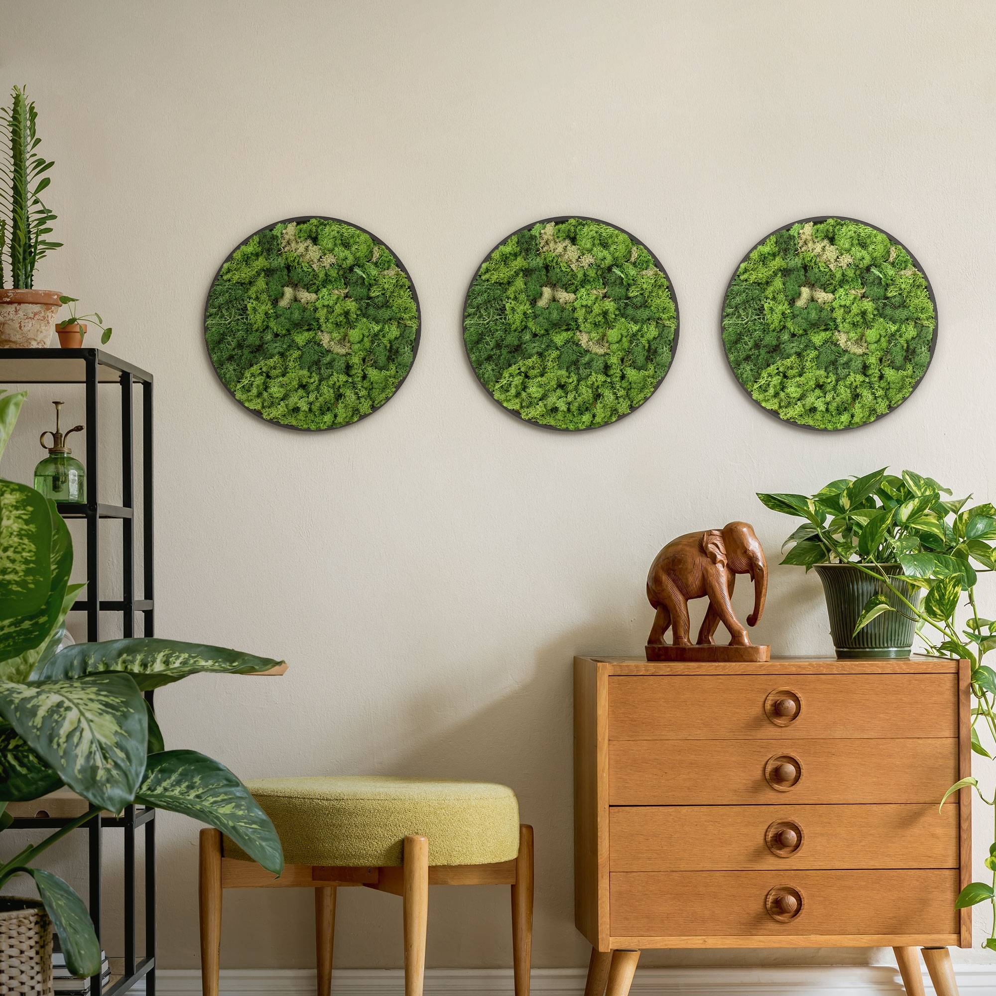 Ecd-Germany - Tableau en mousse de renne stabilisée, ronde Ø 40 cm, vert, décoration murale végétale d'intérieur, cadre en MDF, effet 3D, sans arrosage ni entretien - Image 9