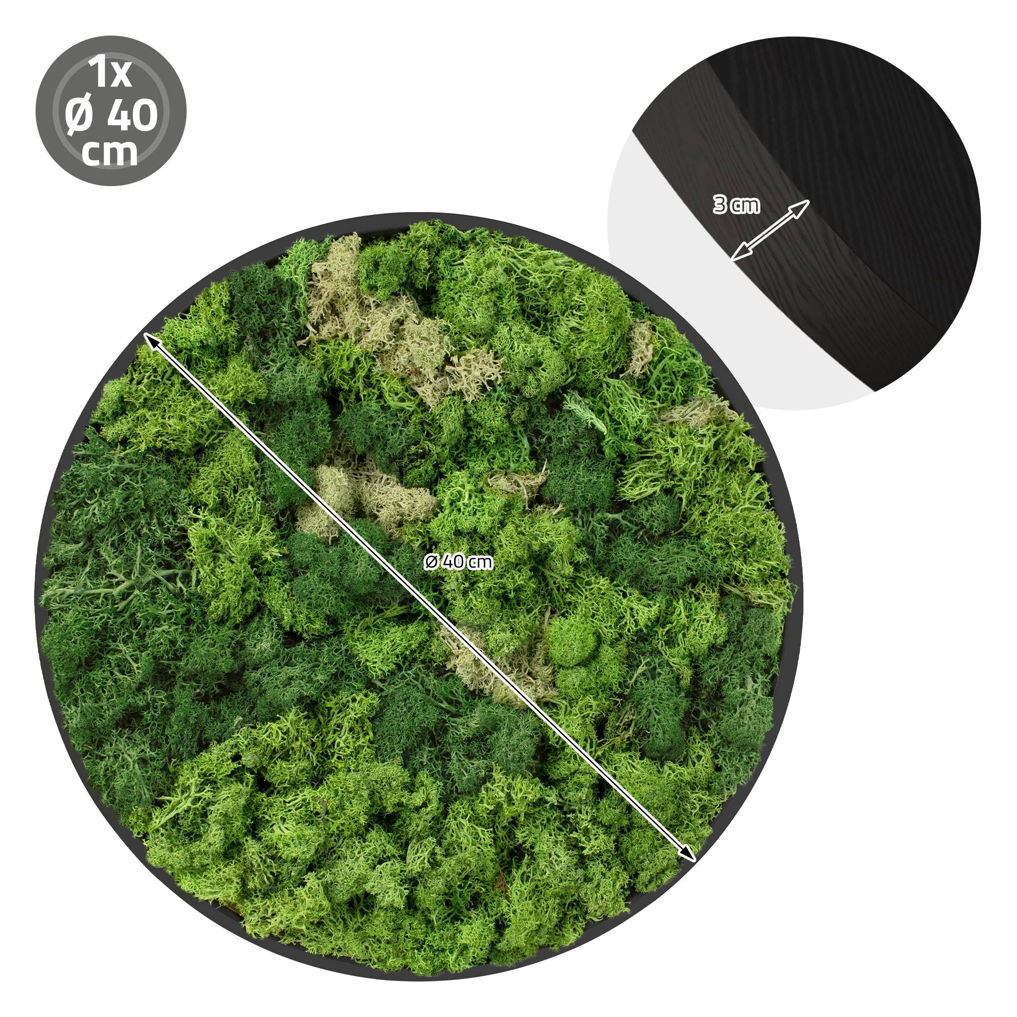 Ecd-Germany - Tableau en mousse de renne stabilisée, ronde Ø 40 cm, vert, décoration murale végétale d'intérieur, cadre en MDF, effet 3D, sans arrosage ni entretien - Image 8