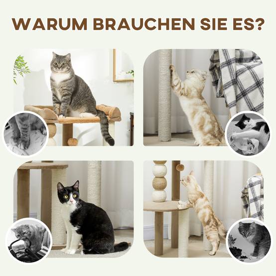 Arbre à chat bois peluche pour grand chat plateformes de repos 86cm marron - ComfortXL Outdoor Living - Image 8