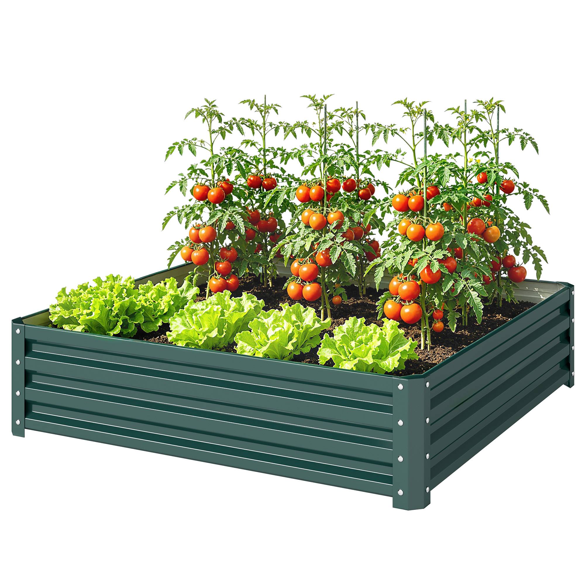 PANGIVO - Carré potager acier galvanisé vert foncé 120 x 120 x 30 cm - PANGIVO - Image 2