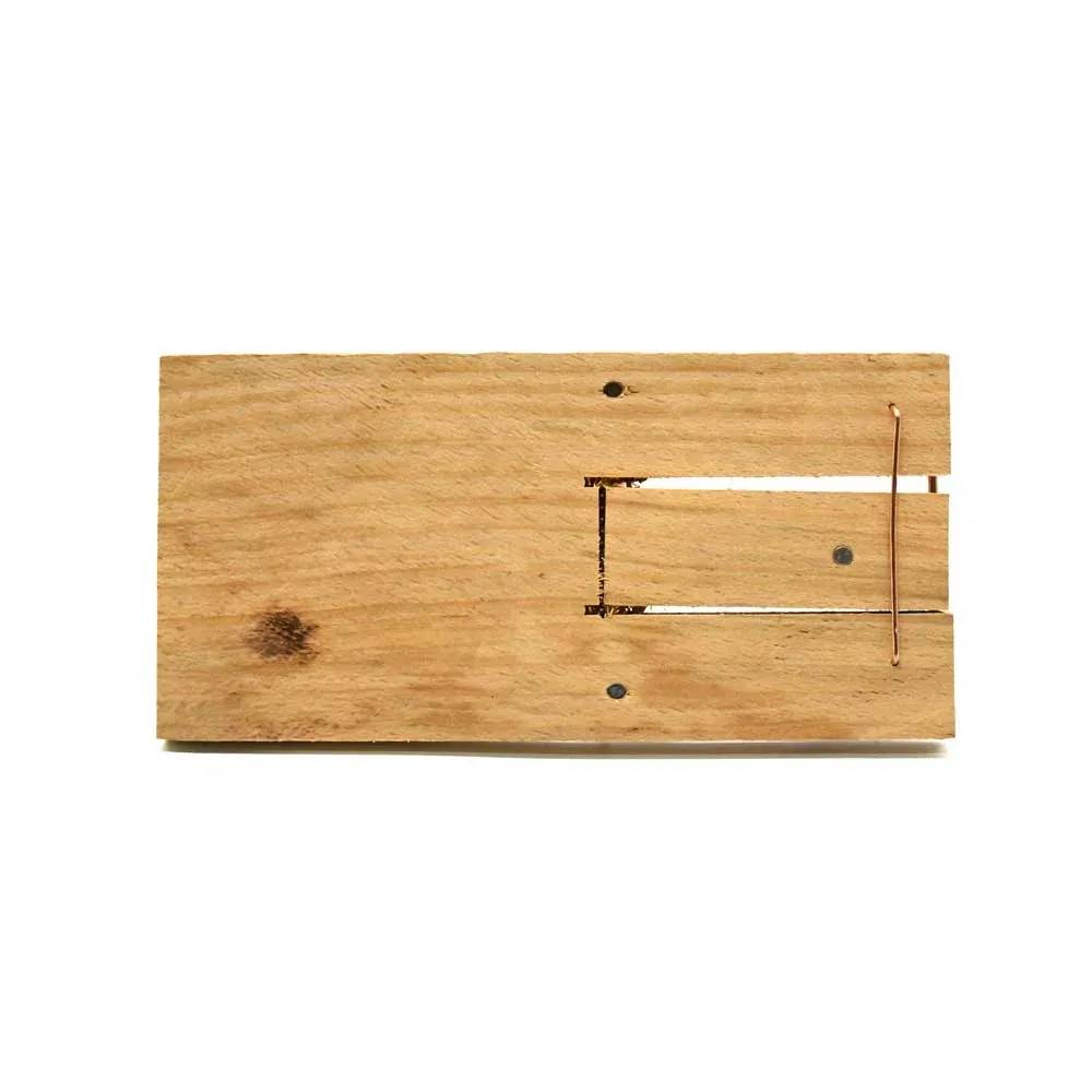 Autre - Lot de 10 Tapettes à rat en bois 170 X 75 mm - Image 3