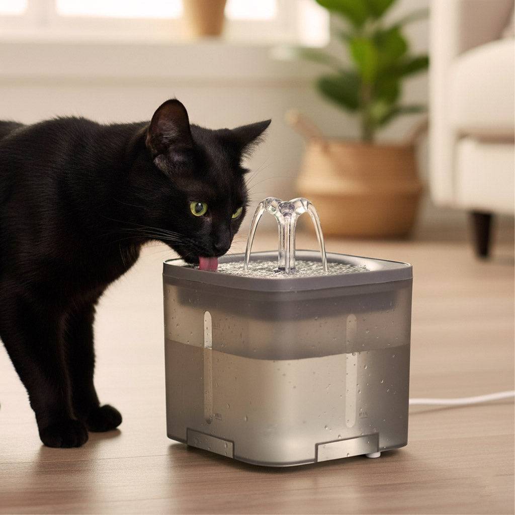 Fontaine pour chien de chat chien buveur automatique USB 2l filtre de nettoyage - Image 4