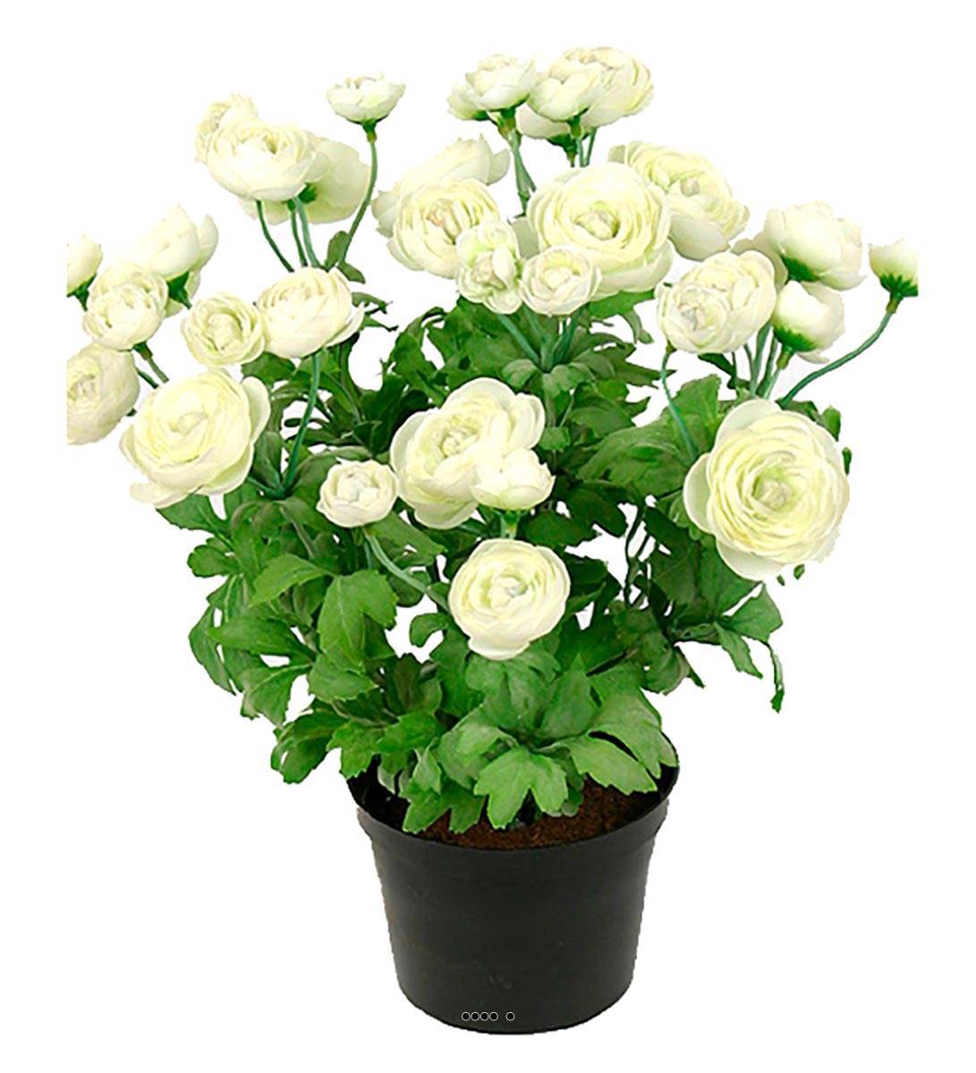 Artificielles - Renoncule factice en pot H28cm 32 fleurs artificielles superbes Crème - couleur: Crème - Imagen 1