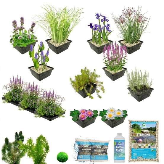 0 - Pack Complet Bassin Multi 1.500-3.000L - Oxygénantes & Berge - Complet - Image 3