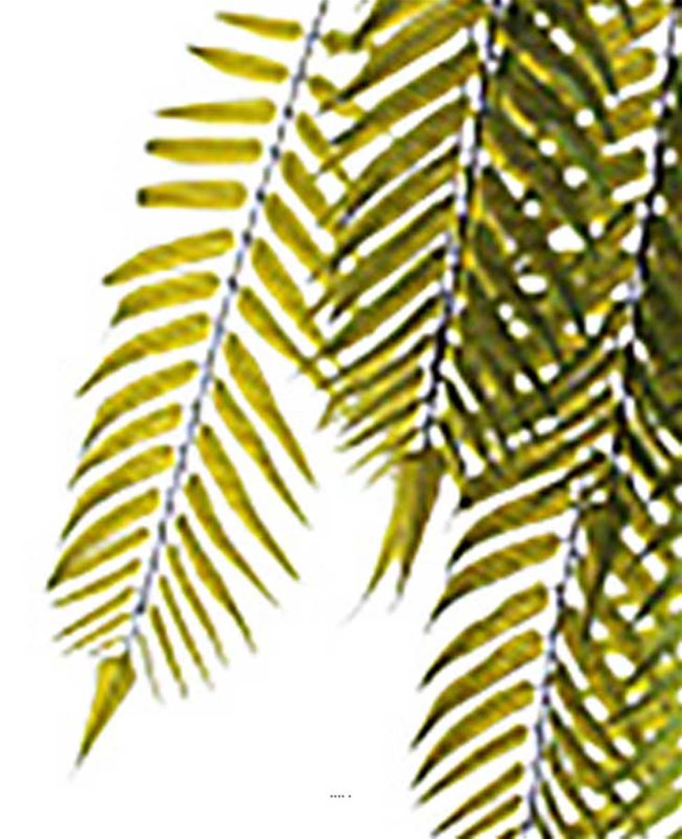 Artificielles - Chute de palmier artificiel L 100 cm vert 8 ramures - Imagen 3