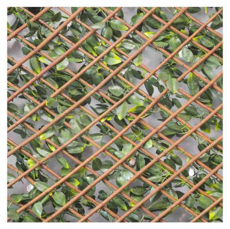 James Grass - France Green - Treillis extensible feuilles de jasmin fleuri, Long 28 m, Hauteur 1 m - Imagen 3
