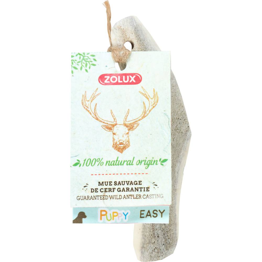 Zolux - Bois de Cerf biseauté XXS Friandise à mâcher pour chiot - Imagen 1