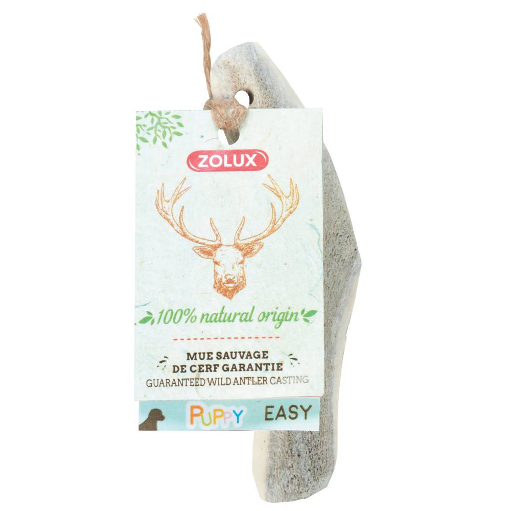 Zolux - Bois de Cerf biseauté XXS Friandise à mâcher pour chiot - Imagen 2