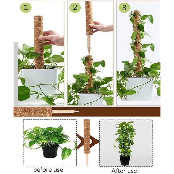 Lot De 4 Tuteurs En Coco Pour Plantes - Image 3