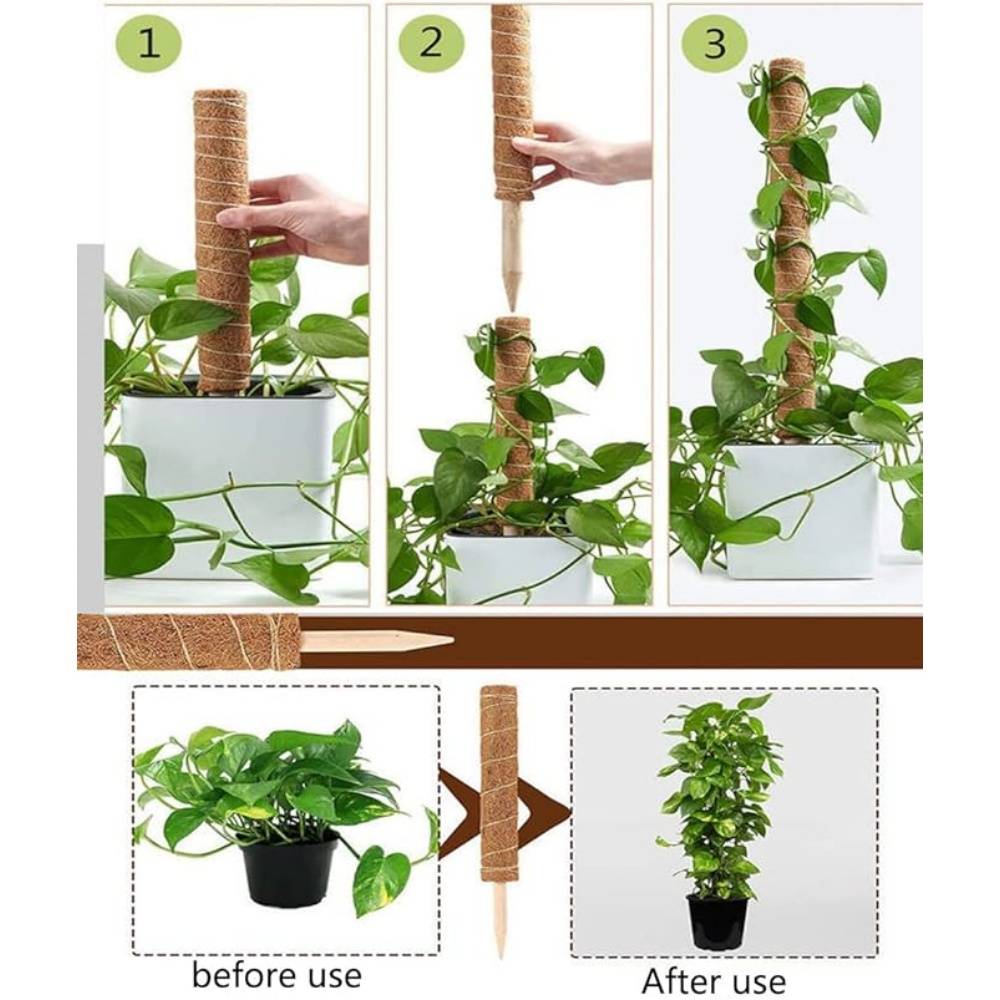 Lot De 4 Tuteurs En Coco Pour Plantes - Image 3