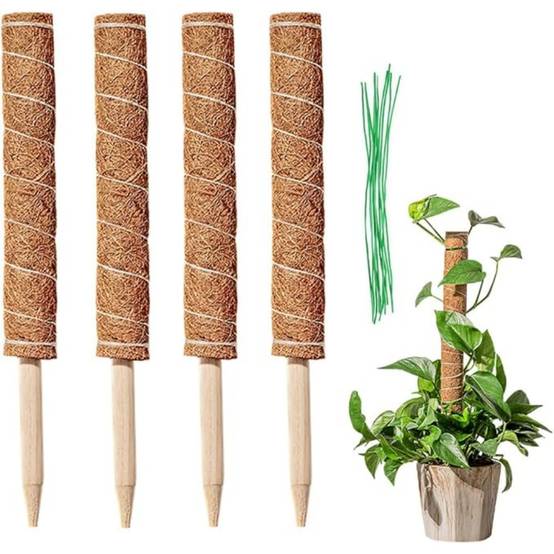 Lot De 4 Tuteurs En Coco Pour Plantes - Image 1