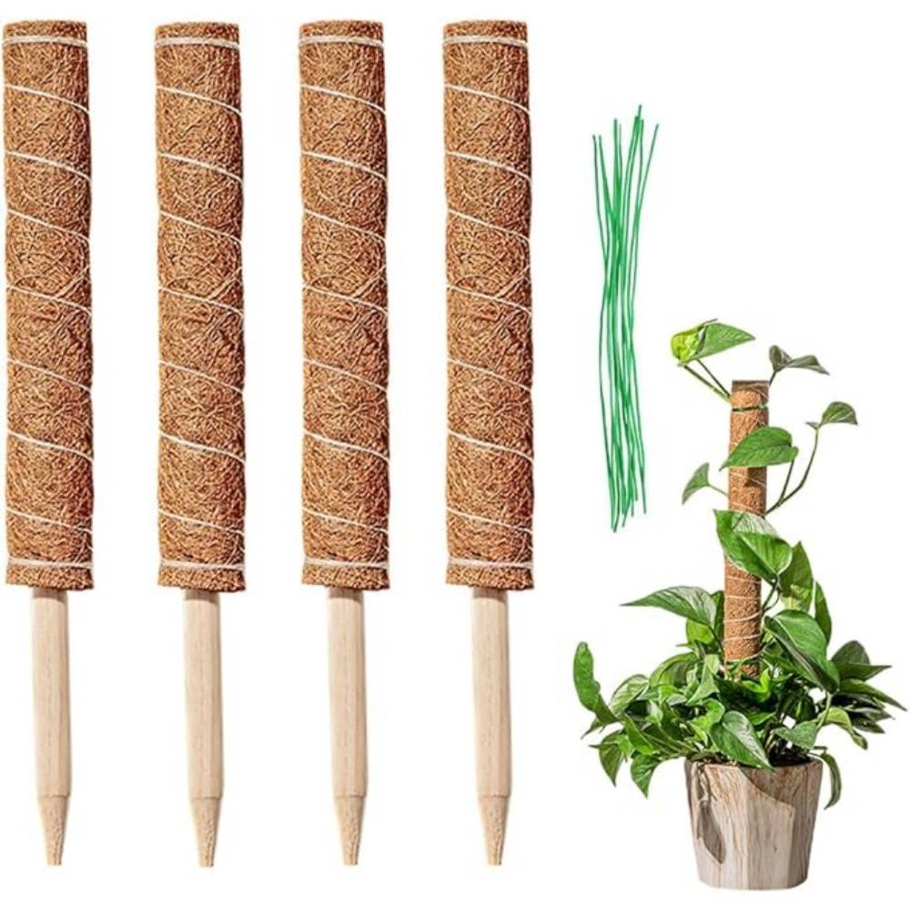 Lot De 4 Tuteurs En Coco Pour Plantes - Image 1
