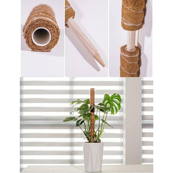 Lot De 4 Tuteurs En Coco Pour Plantes - Image 2
