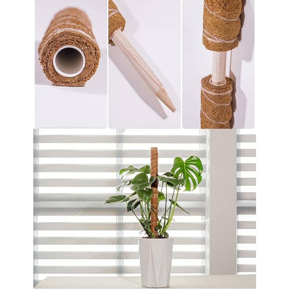Lot De 4 Tuteurs En Coco Pour Plantes - Image 2