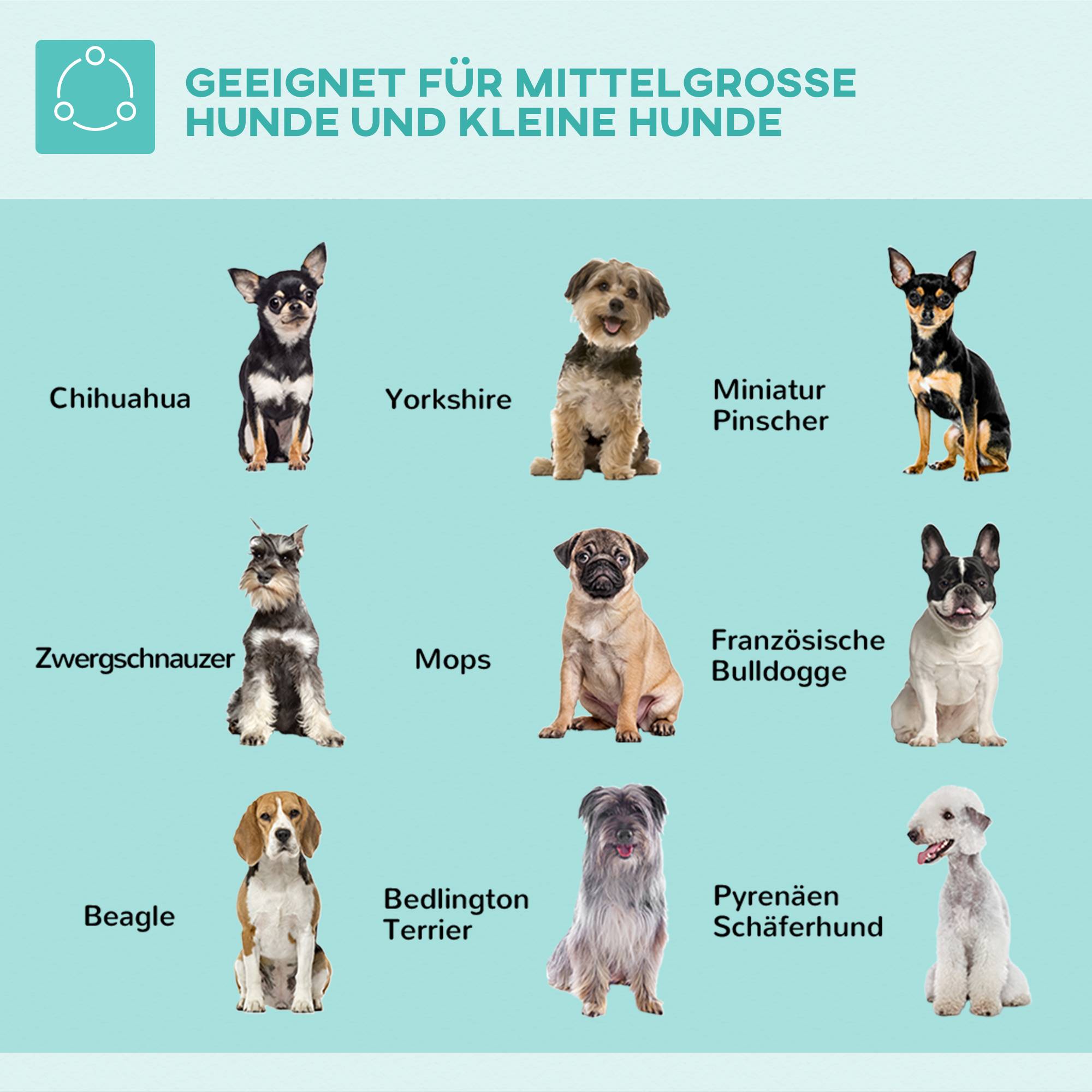 Bras de toilettage pliable en aluminium pour animaux avec pince, ajustable, pour chiens moyens, 36 x 8 x 74 cm - PANGIVO - Image 7
