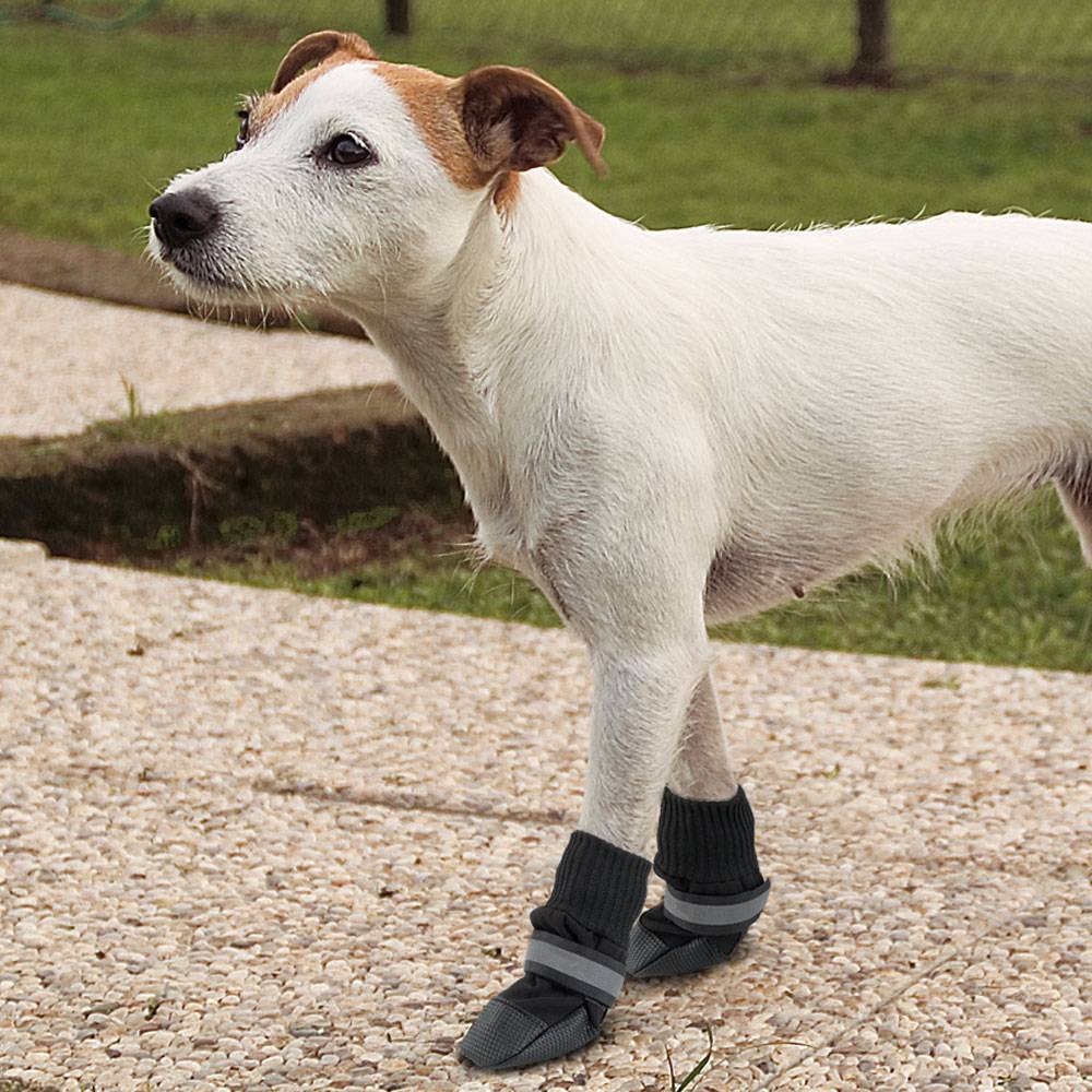 Ferplast - Chaussons de protection pour chien Ferplast PROTECTIVE SHOES diverses mesures antidérapants - Imagen 3