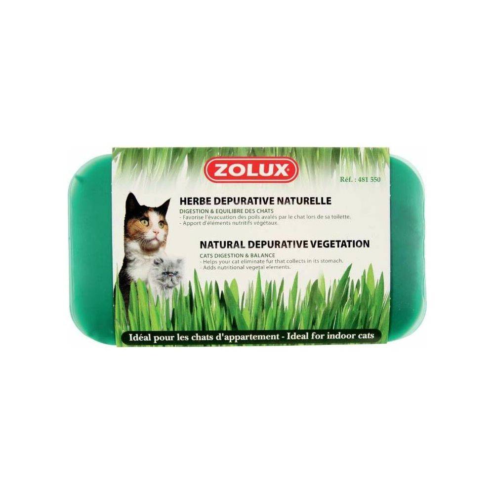 Zolux - Herbe à chat dépurative naturelle (Lot de 3) - Imagen 4