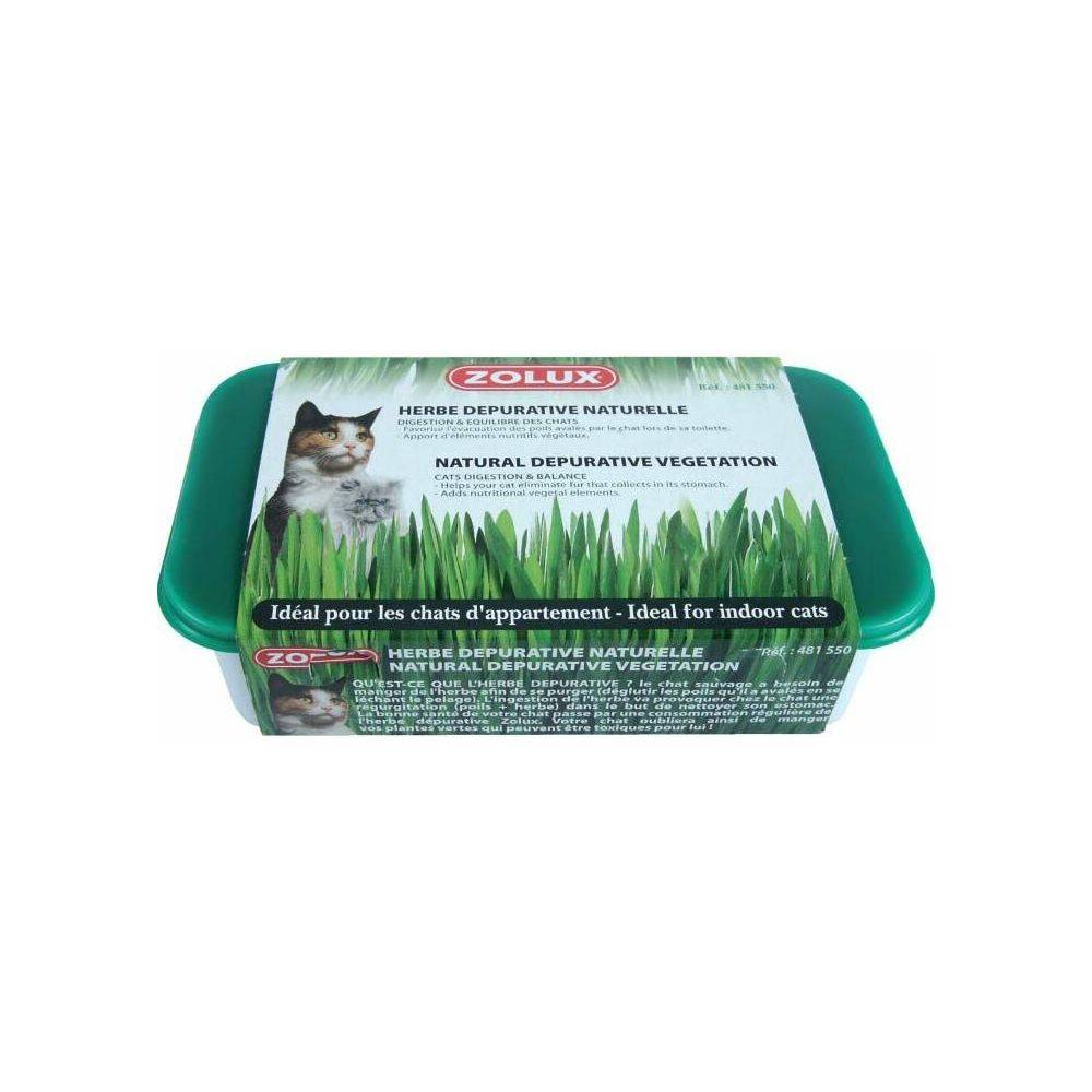 Zolux - Herbe à chat dépurative naturelle (Lot de 3) - Imagen 3