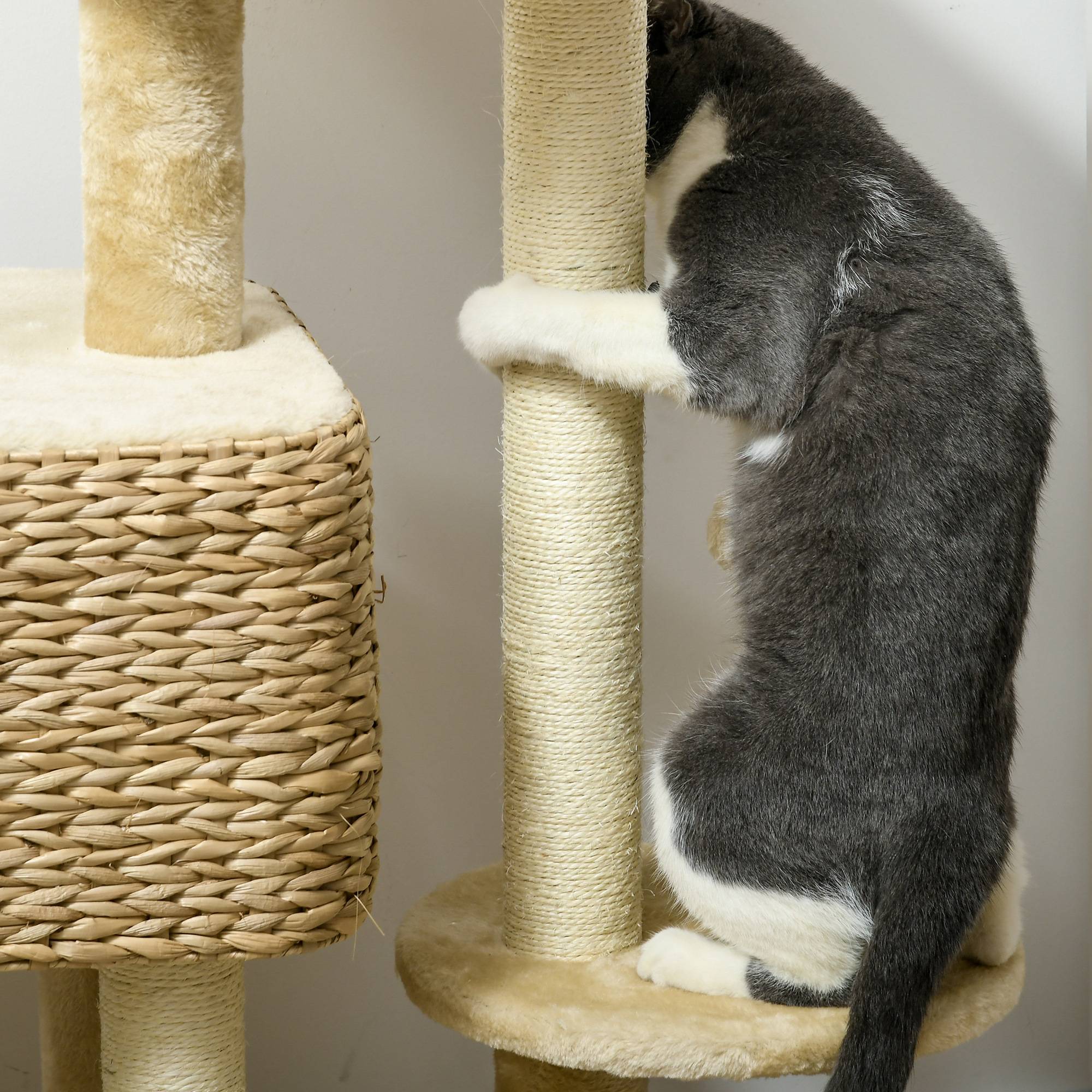 Pawhut - Arbre à chat style cosy chic griffoirs sisal naturel équipement multiple peluche jacinthe d'eau beige - Imagen 7