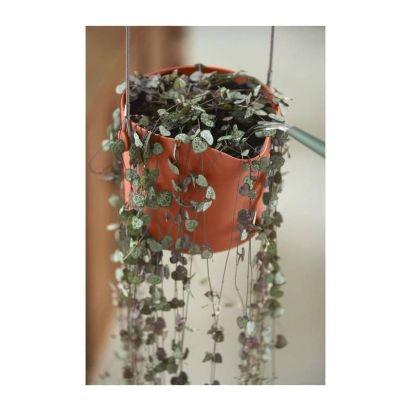 Elho - Pot De Fleurs Rond Vibia - Plastique Réservoir - ø35 - Jaune Miel - Imagen 5