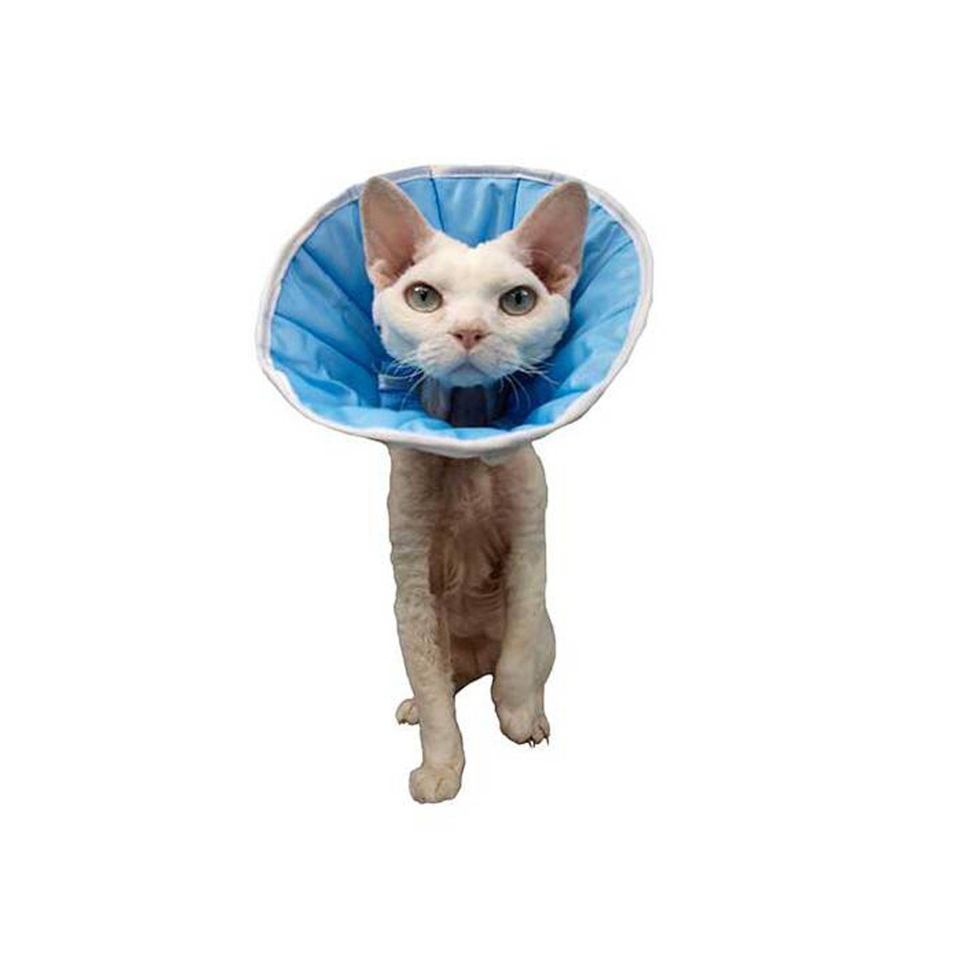 Collerette de protection en tissu : XXL GRANDE FINALE