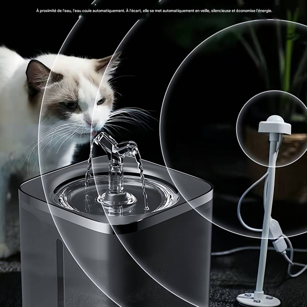 IntiMeg - Fontaine à eau 2 litres pour chats et petits chiens Bleu IntiMeg - Image 4