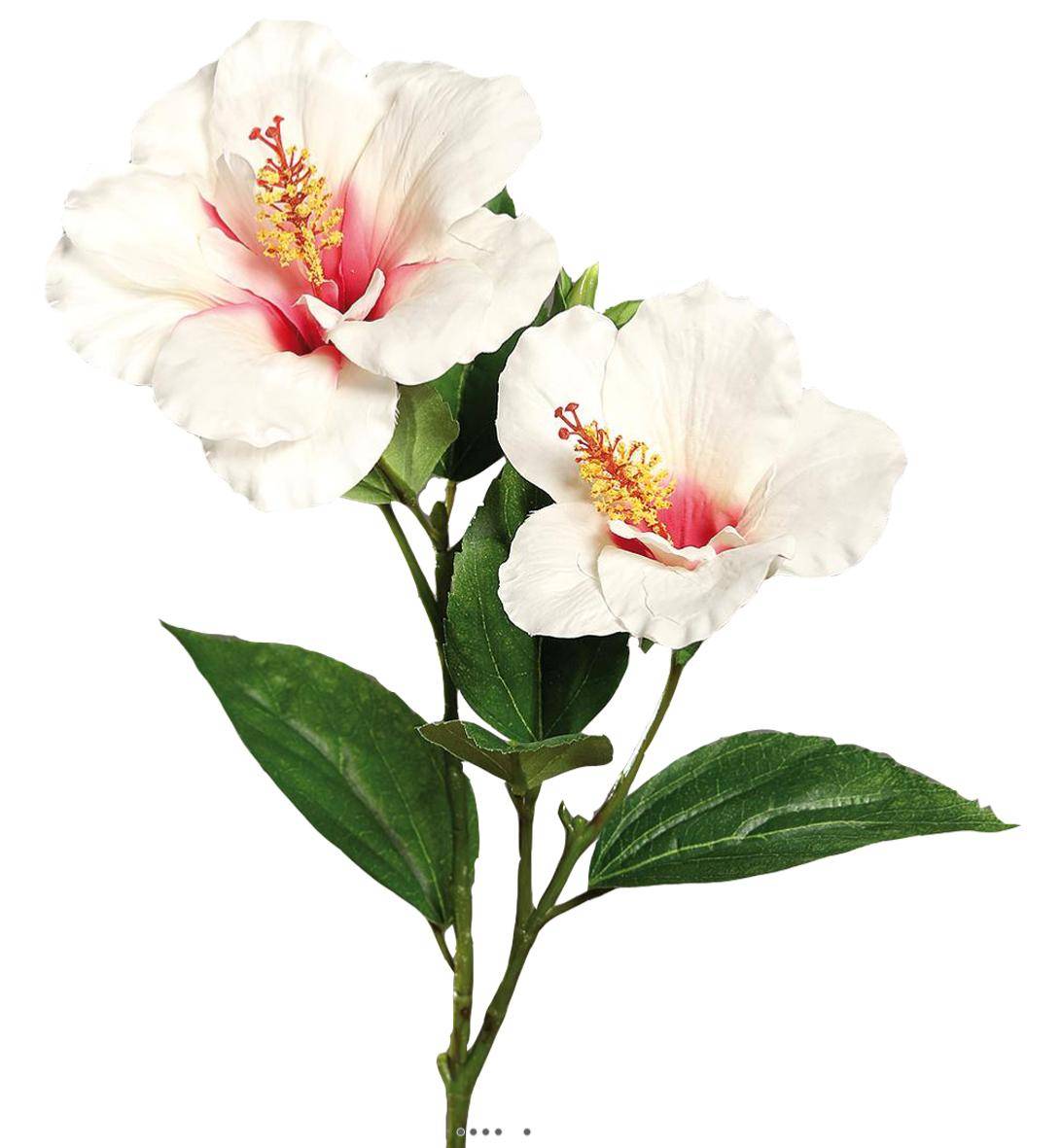 Artificielles - Hibiscus artificiel en branche H 65 cm 2 fleurs exotiques Crème - couleur: Crème - Imagen 1