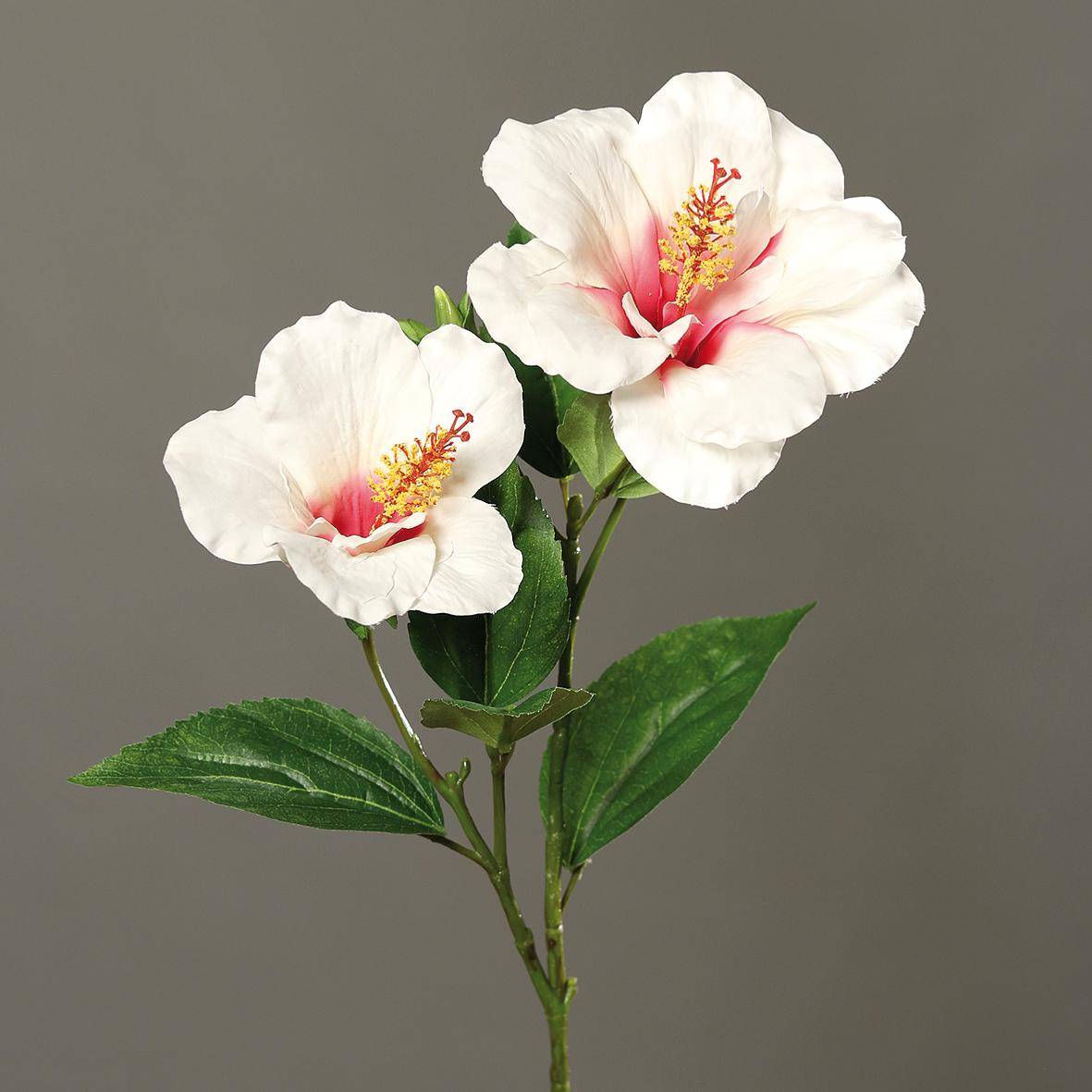 Artificielles - Hibiscus artificiel en branche H 65 cm 2 fleurs exotiques Crème - couleur: Crème - Imagen 2