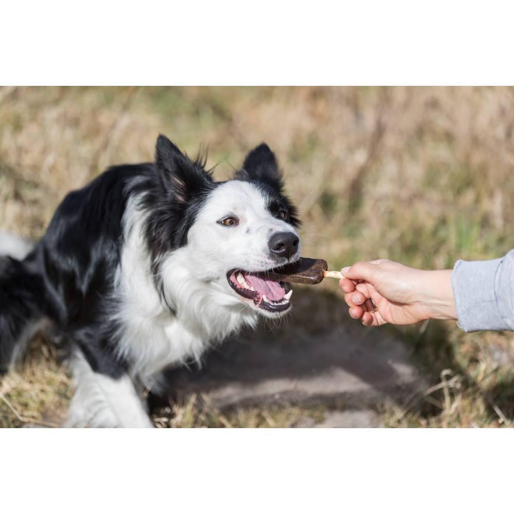 Trixie - Trixie - Friandise Denta Fun poulet Pop 50 g  pour chien - Imagen 4