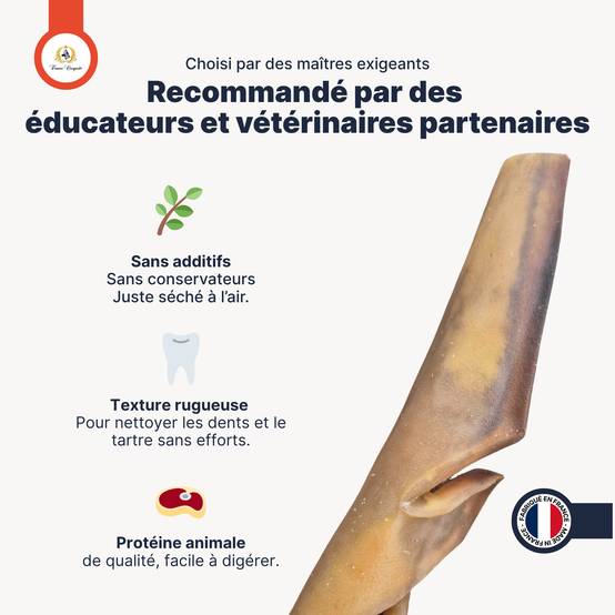 peau de chameau 1kg (mastication longue/hypoallergenique) friandise pour chien - France croquettes - Image 3