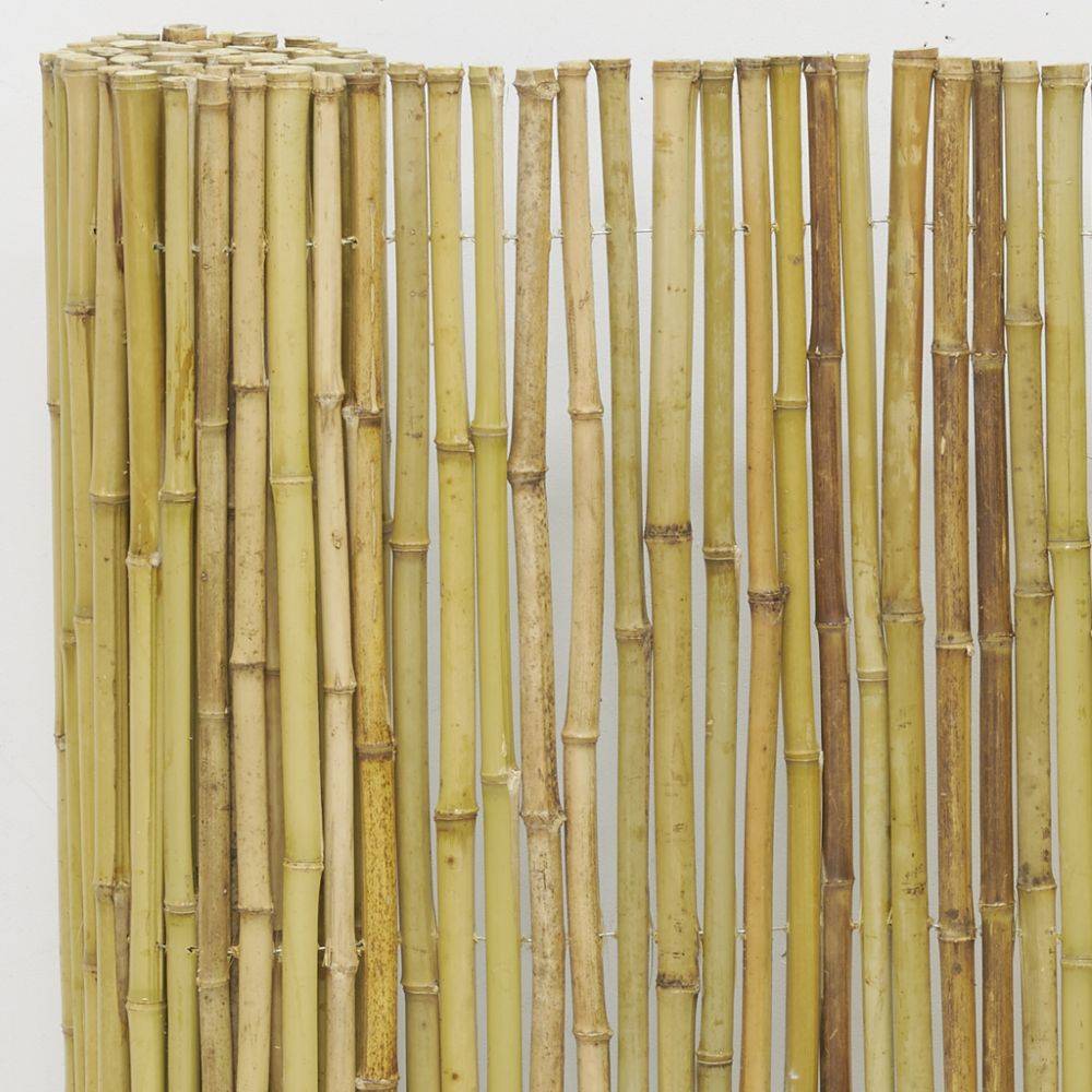 Aubry Gaspard - Canisse en bambou 1.8 x 1 m - Imagen 4