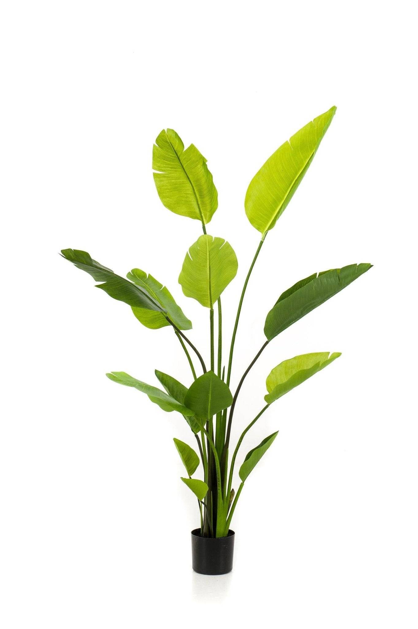 La Green Touch - Strelitzia Nicolai plante artificielle - h150cm, Ø12cm- La Green Touch - Imagen 1