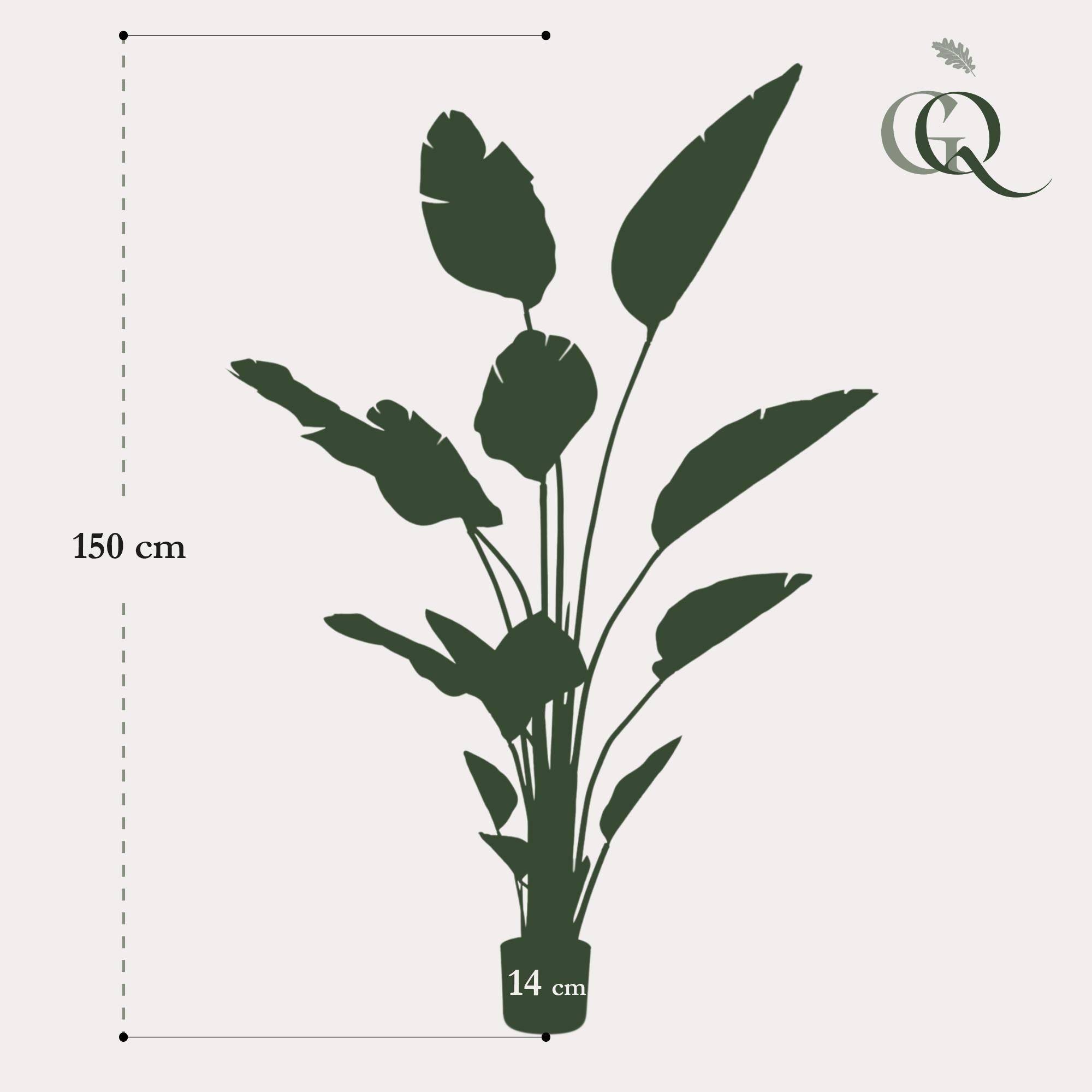 La Green Touch - Strelitzia Nicolai plante artificielle - h150cm, Ø12cm- La Green Touch - Imagen 5