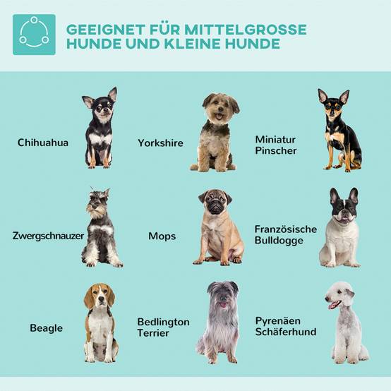 ComfortXL - Bras de toilettage aluminium inox 36 x 8 x 74 cm pour chiens réglable pliable avec sangles de maintien - Image 7