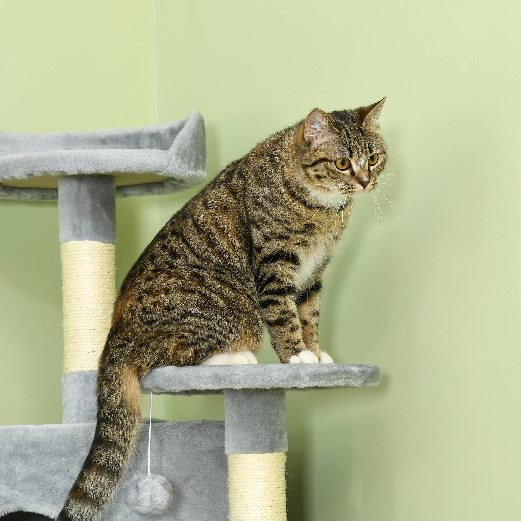 Pawhut - Arbre à chat multi-équipement griffoirs 2 niches 2 hamacs plateformes boules suspendues corde peluche grise - Imagen 9