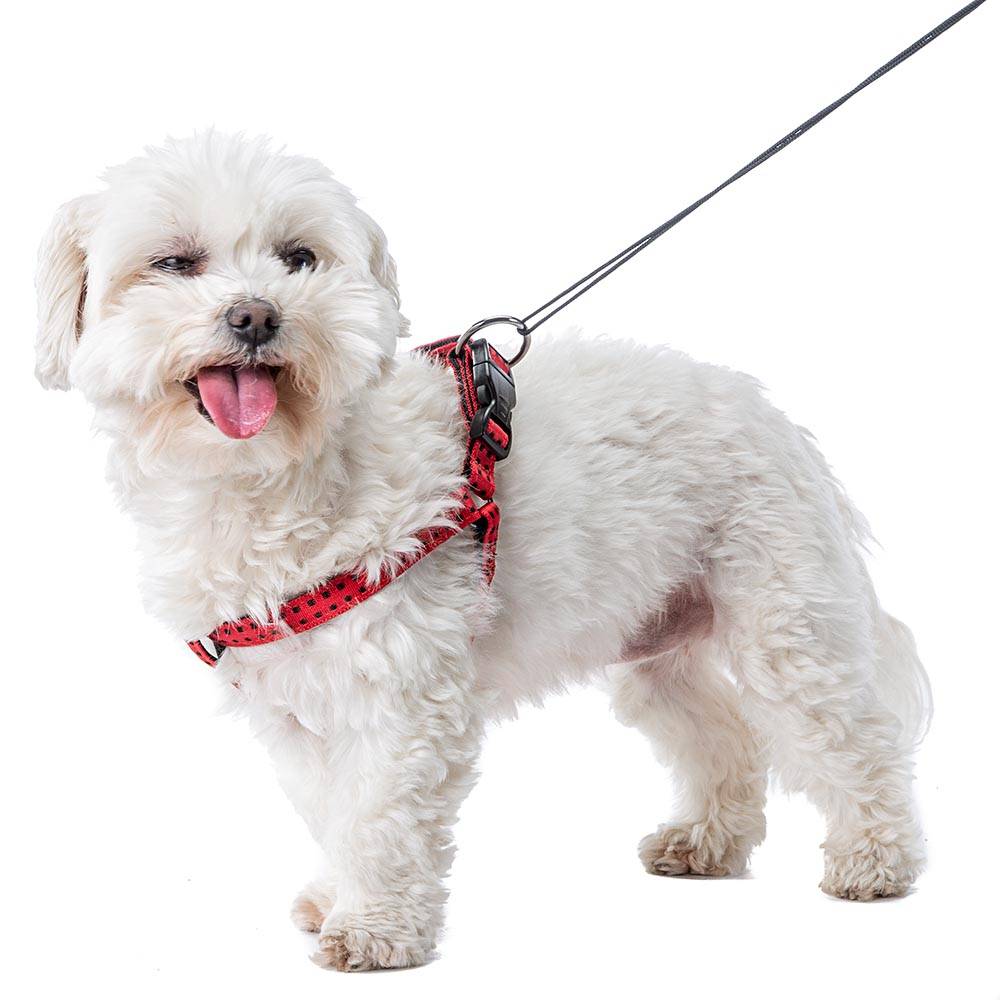 Ferplast - Harnais pour Chiens CRICKET MEDIUM, Résistant, Rembourré et Réglable - Imagen 3