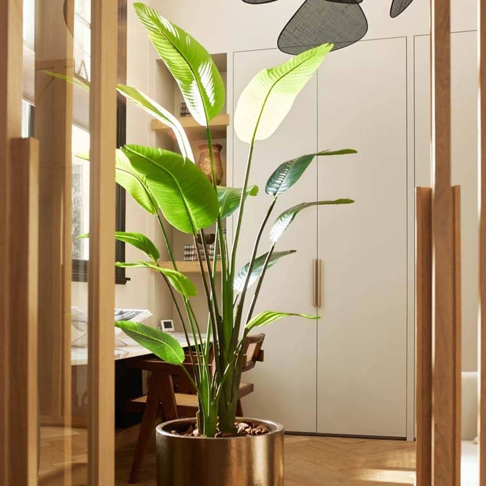 La Green Touch - Strelitzia Nicolai - H180cm - Image 3