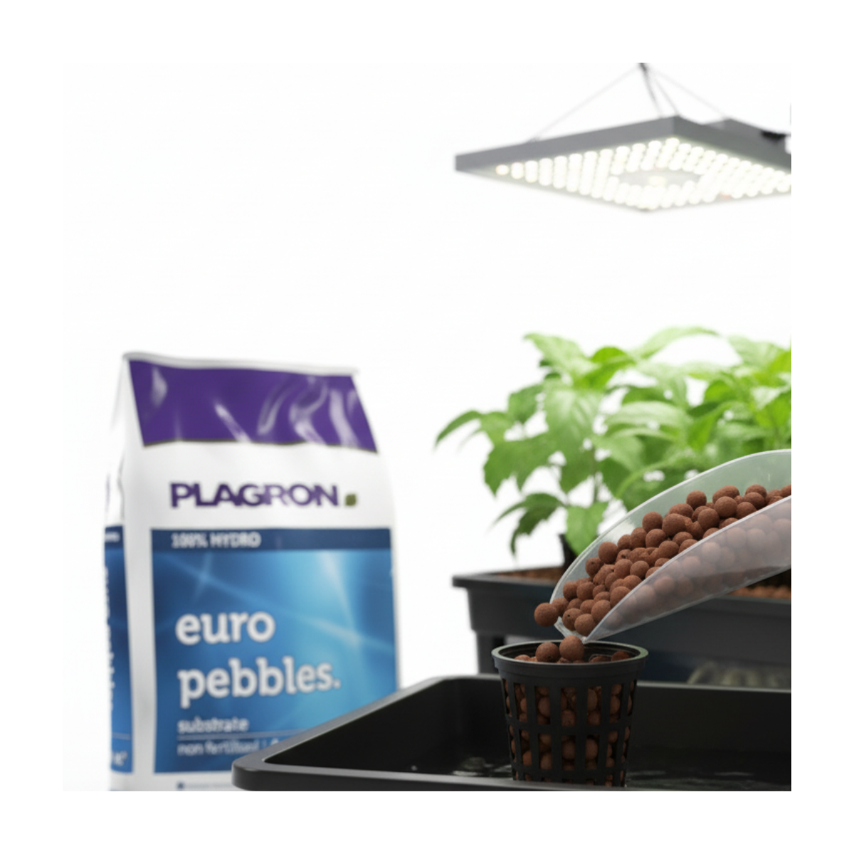 Billes d'argile en sac de 45 litres - PLAGRON - Image 4