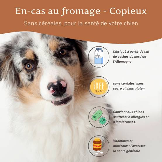 Wildfang - Wildfang Harties - Snack au fromage pour chiens - Grain-sans - 1 x 70 g - Image 2