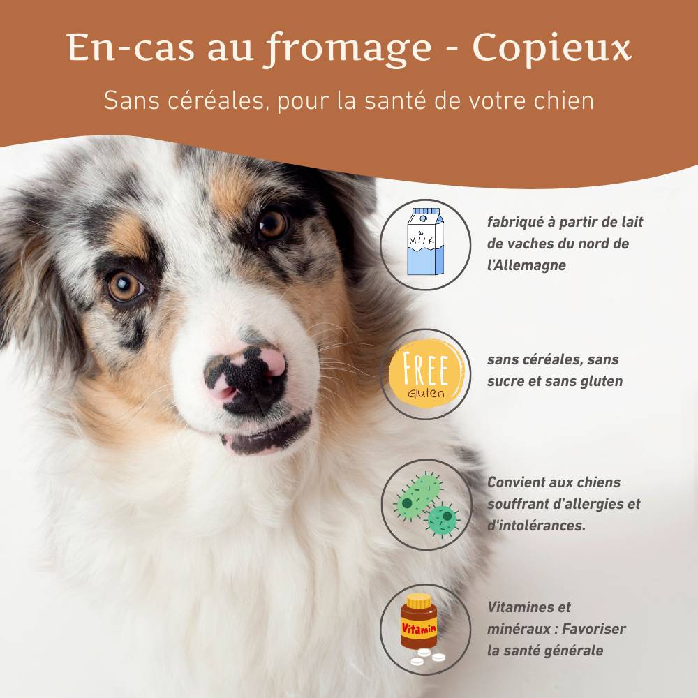 Wildfang - Wildfang Harties - Snack au fromage pour chiens - Grain-sans - 1 x 70 g - Image 2