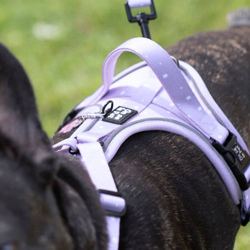 Harnais Premium pour chien confortable – Lilas – On se la Pet - Image 4