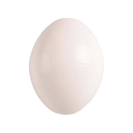 5 œufs artificiel en plastique pour oiseaux Calopsitte , inséparables, agapornis - Image 2