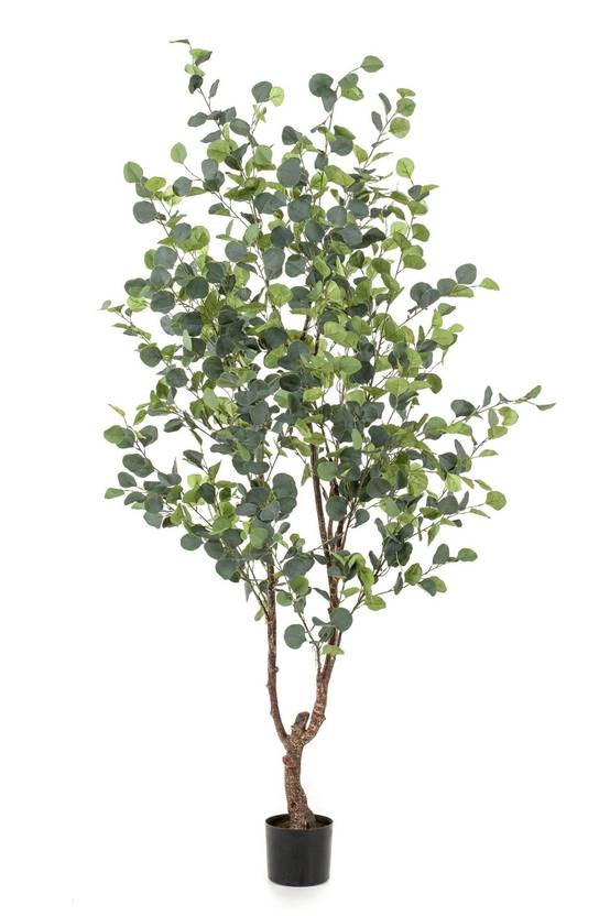 Eucalyptus plante artificielle - h180cm, Ø17cm- La Green Touch - Image 5