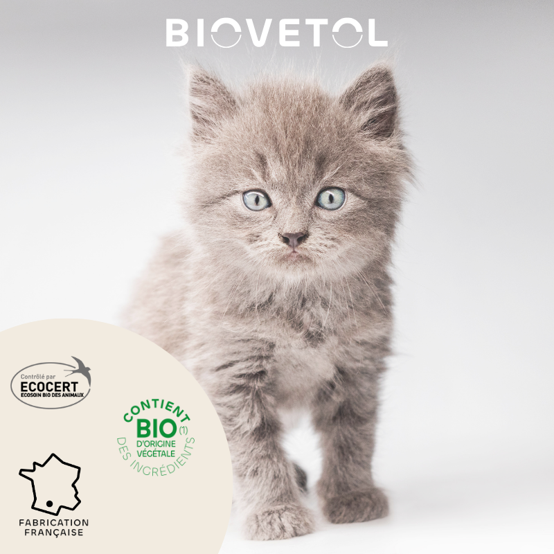 Pipetas para gato o gatito BIOVETOL: 3 x 1ml BIOVETOL - Imagen 4